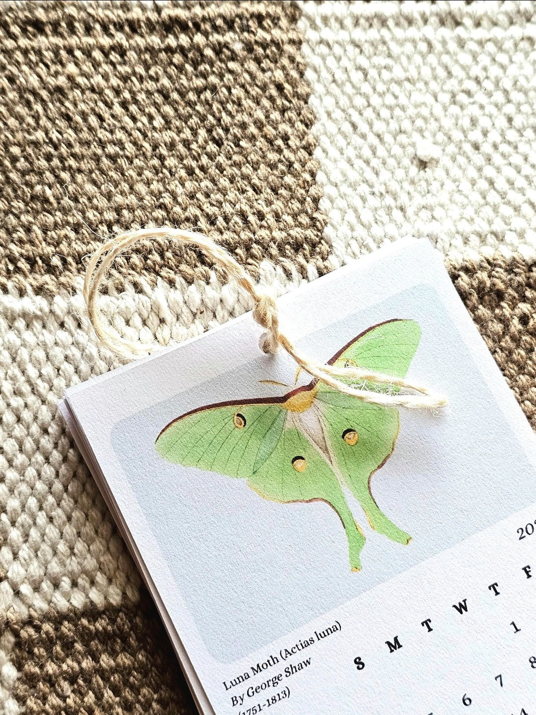 Moths & Butterflies 2026 Mini Hanging Wall Calendar | 12 Month Calendar