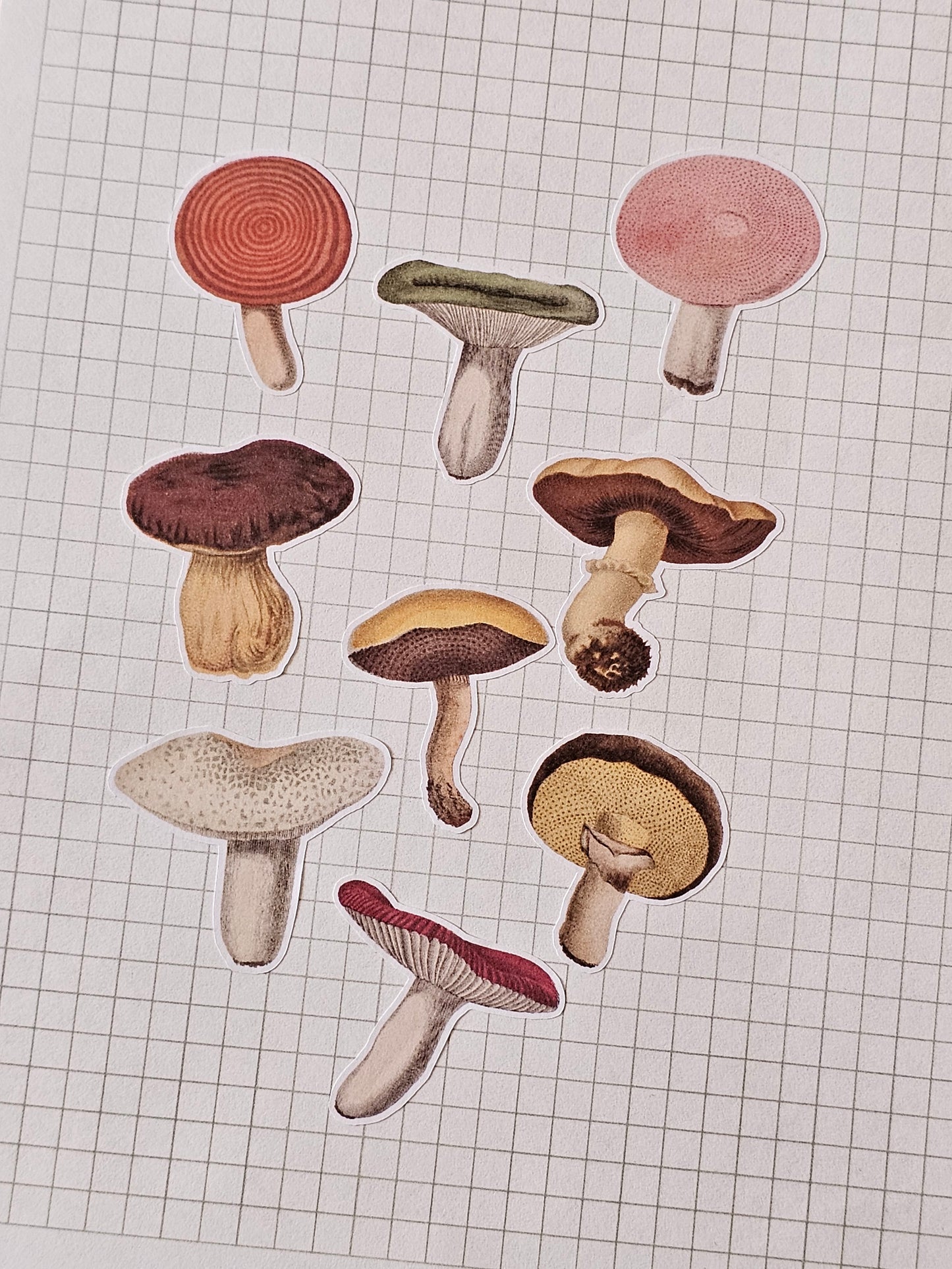 Mushroom Sticker Sheet