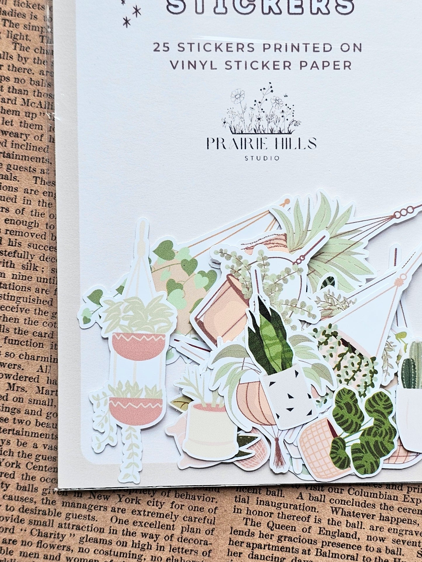 Mini House Plant Sticker Pack | 25 Pcs