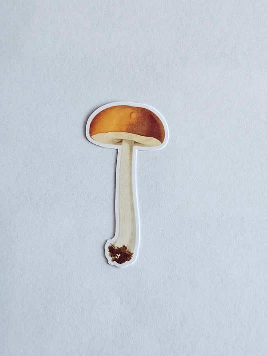 Mushroom Vinyl Sticker Style #8