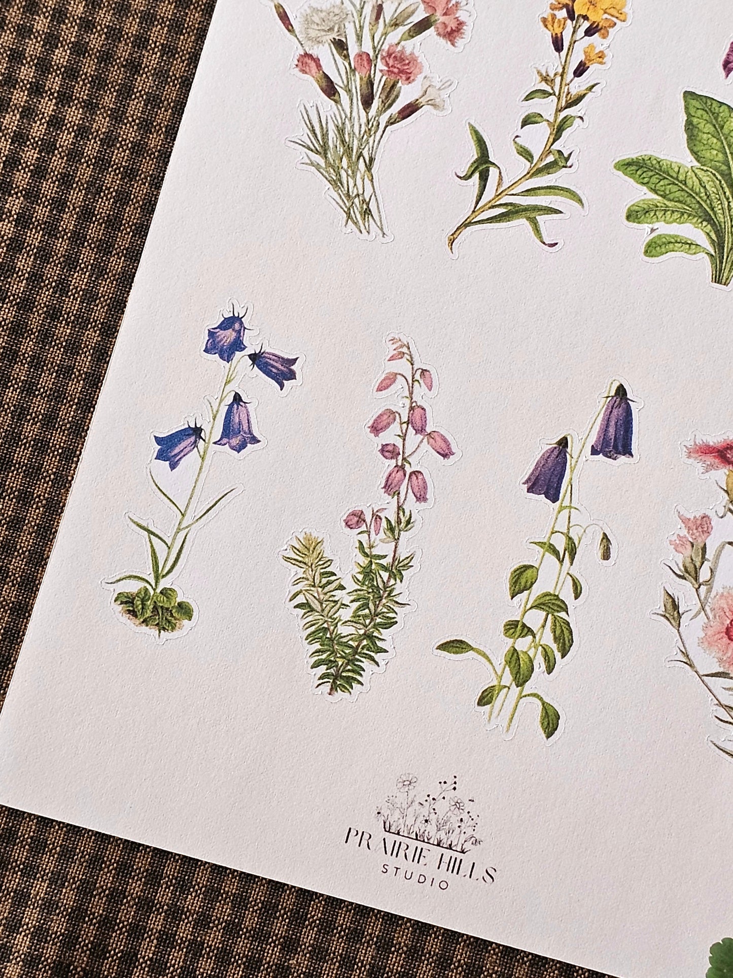 Wildflower Sticker Sheet