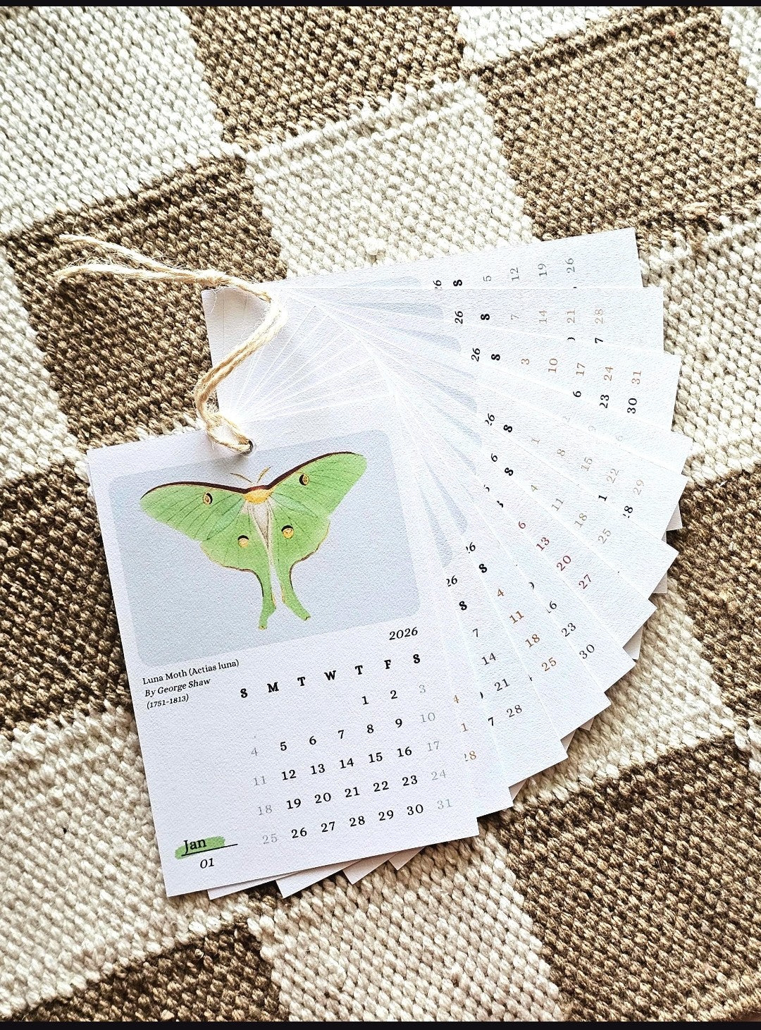 Moths & Butterflies 2026 Mini Hanging Wall Calendar | 12 Month Calendar