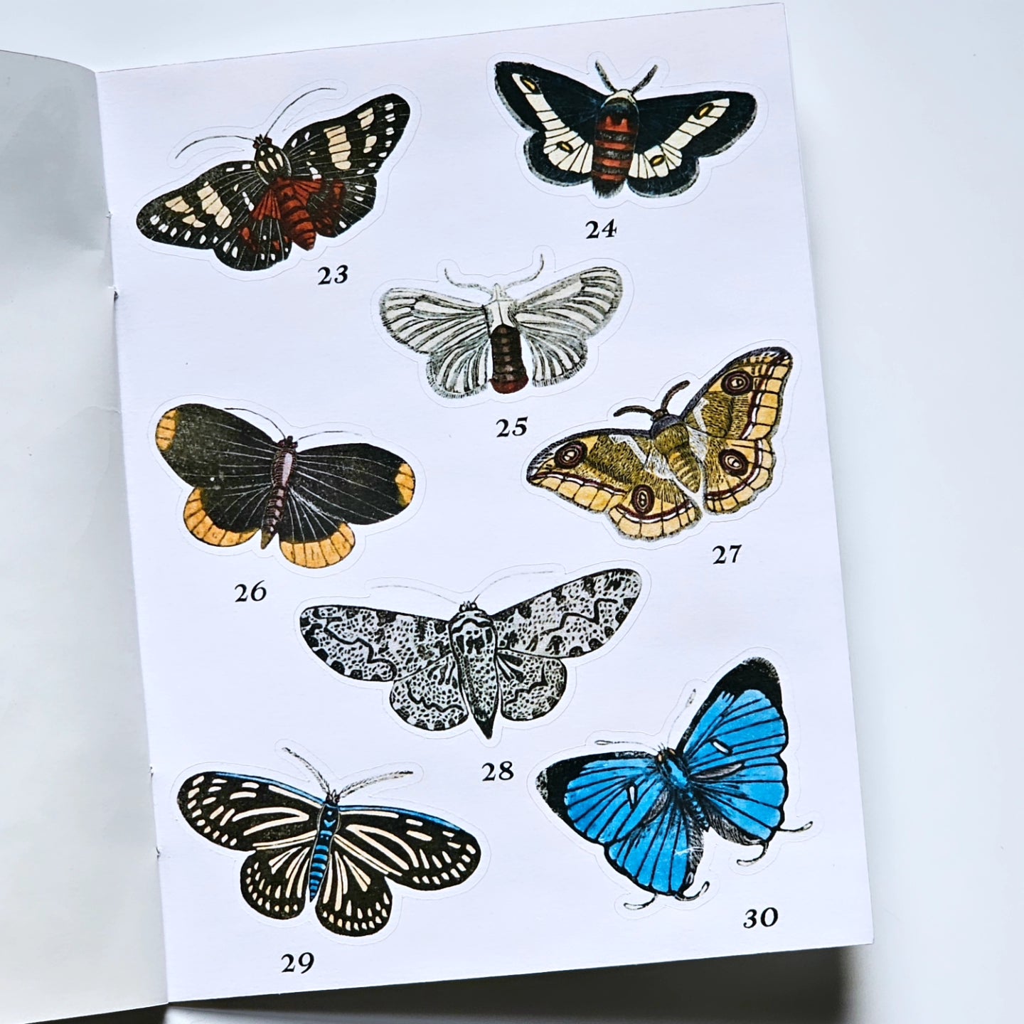 Moths & Butterflies Mini Sticker Book | 30 Pcs Stickers