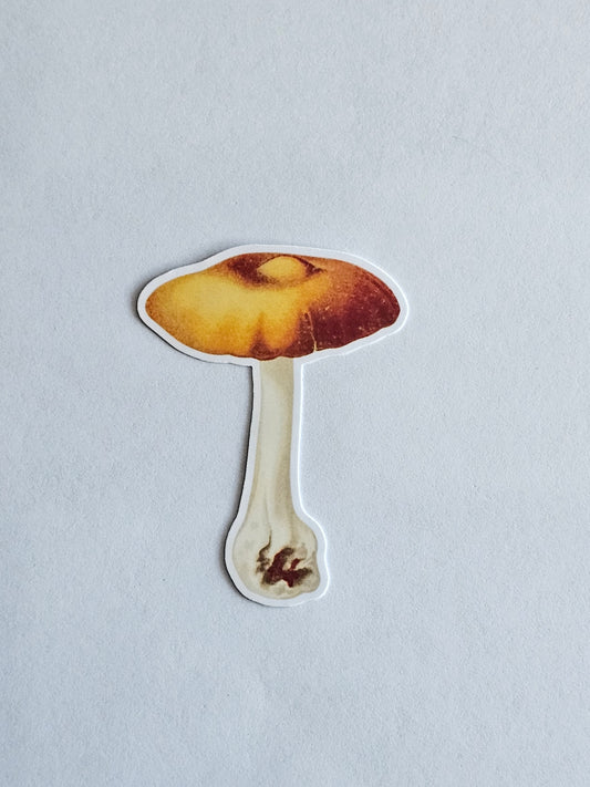 Mushroom Vinyl Sticker Style #4