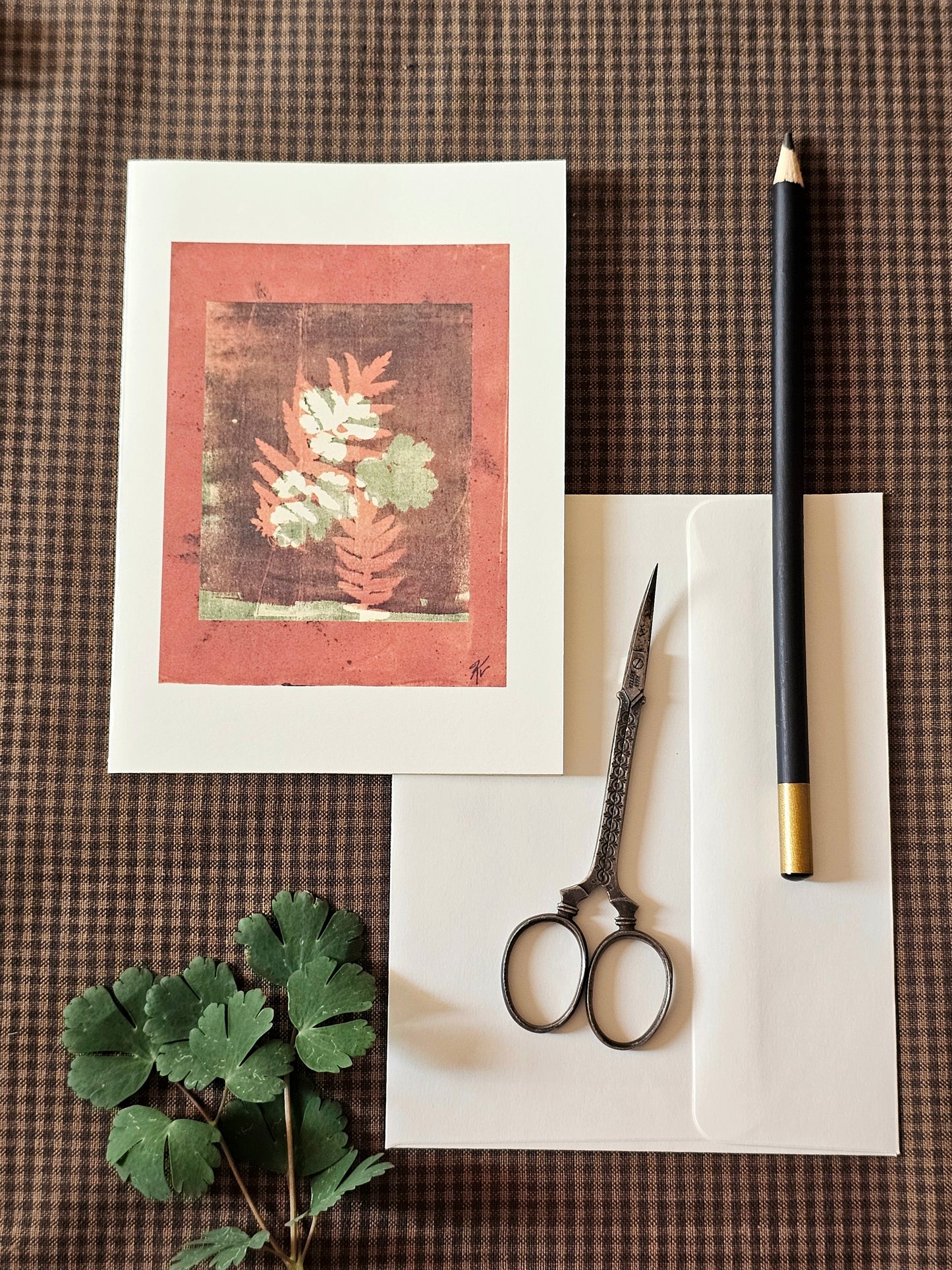 Botanical Art Print Greeting Card | "Shadows of Columbine and Tansy"