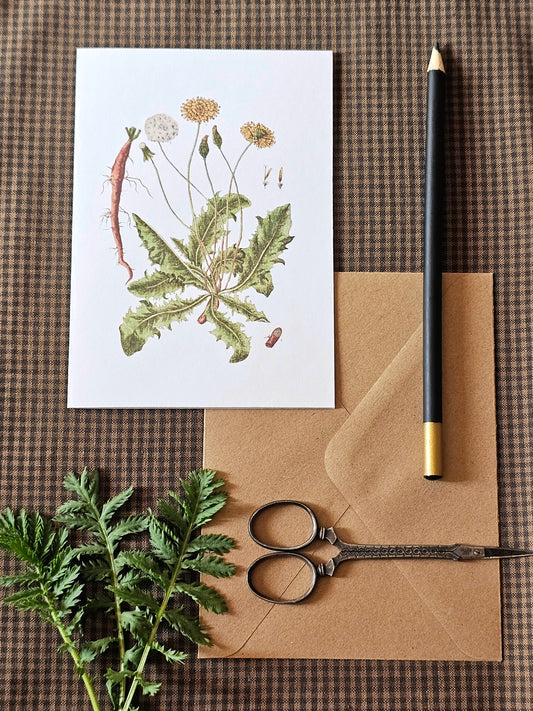 Dandelion Illustration Greeting Card | Illustrated Card and Envelope Set