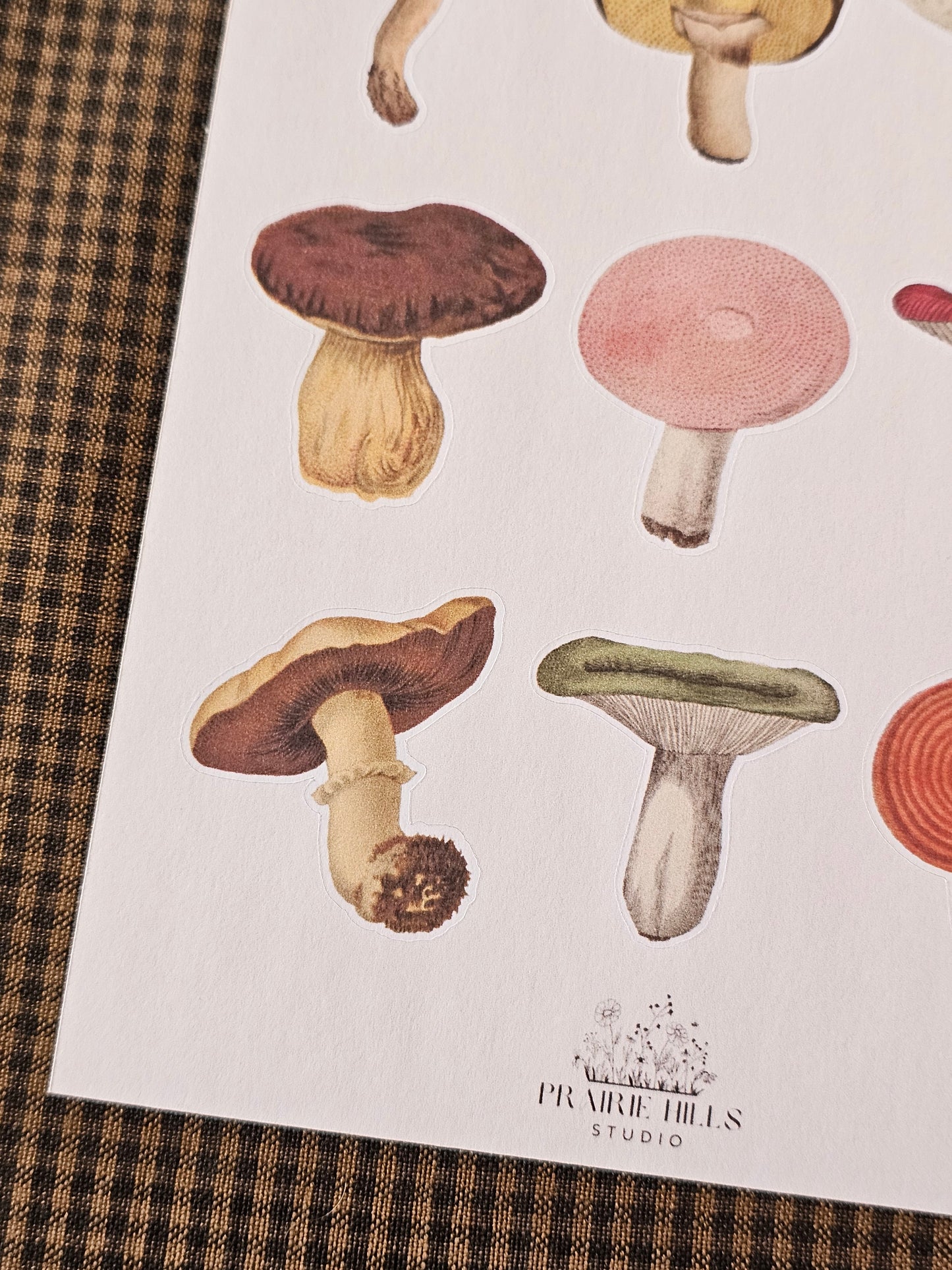 Mushroom Sticker Sheet