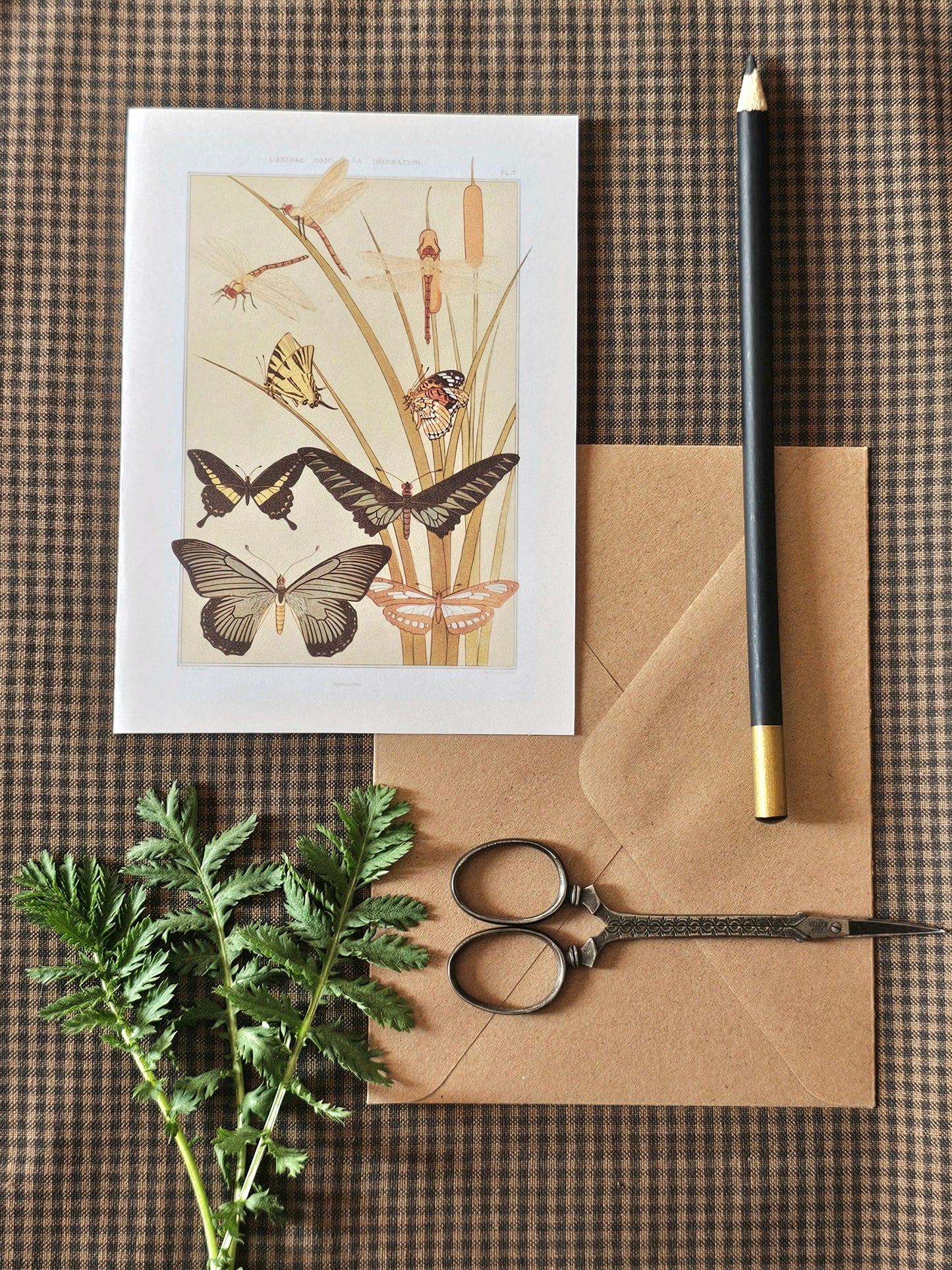 Botanical Butterfly Greeting Card | Illustrated Card and Envelope Set