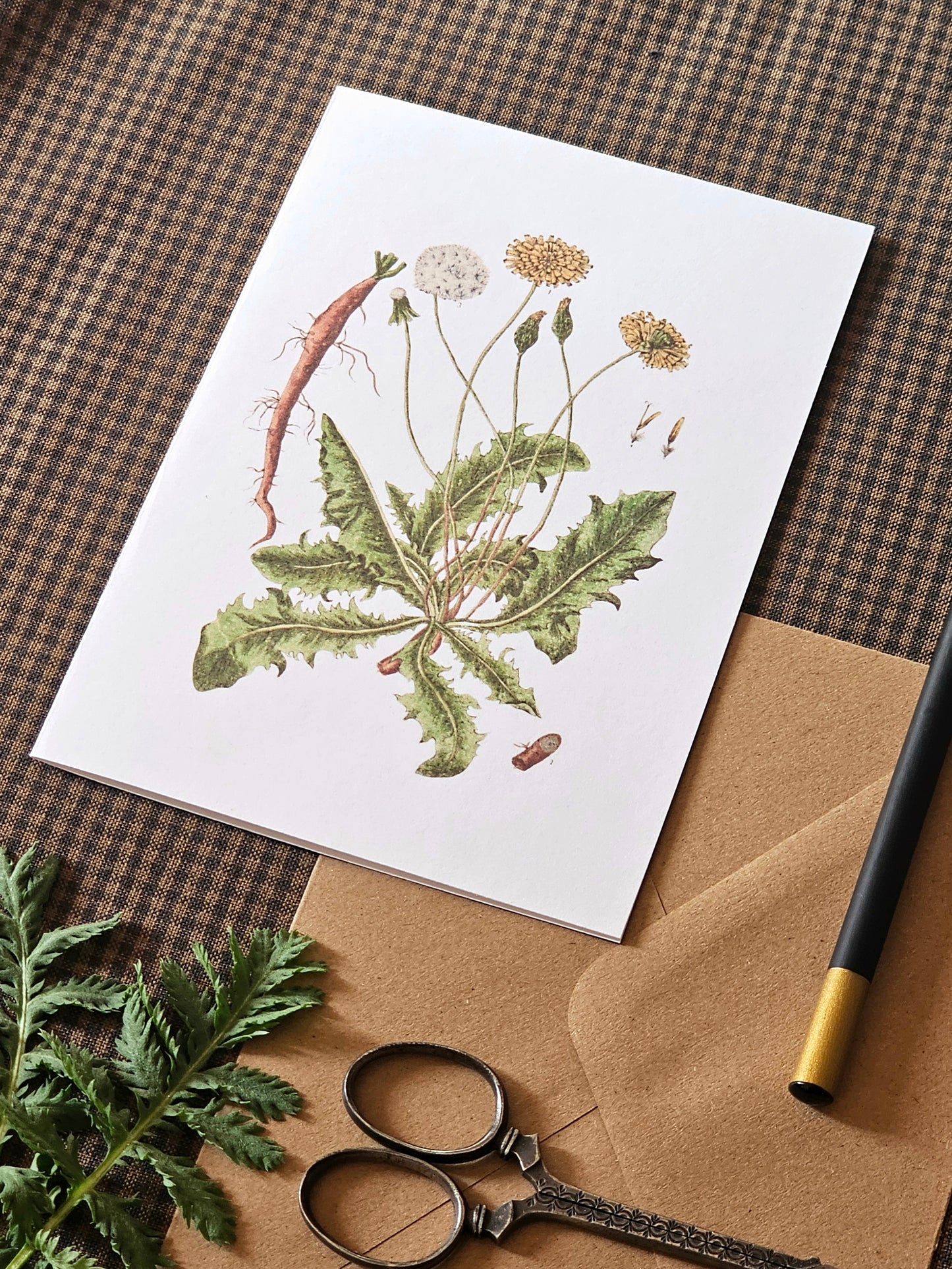 Dandelion Illustration Greeting Card | Illustrated Card and Envelope Set