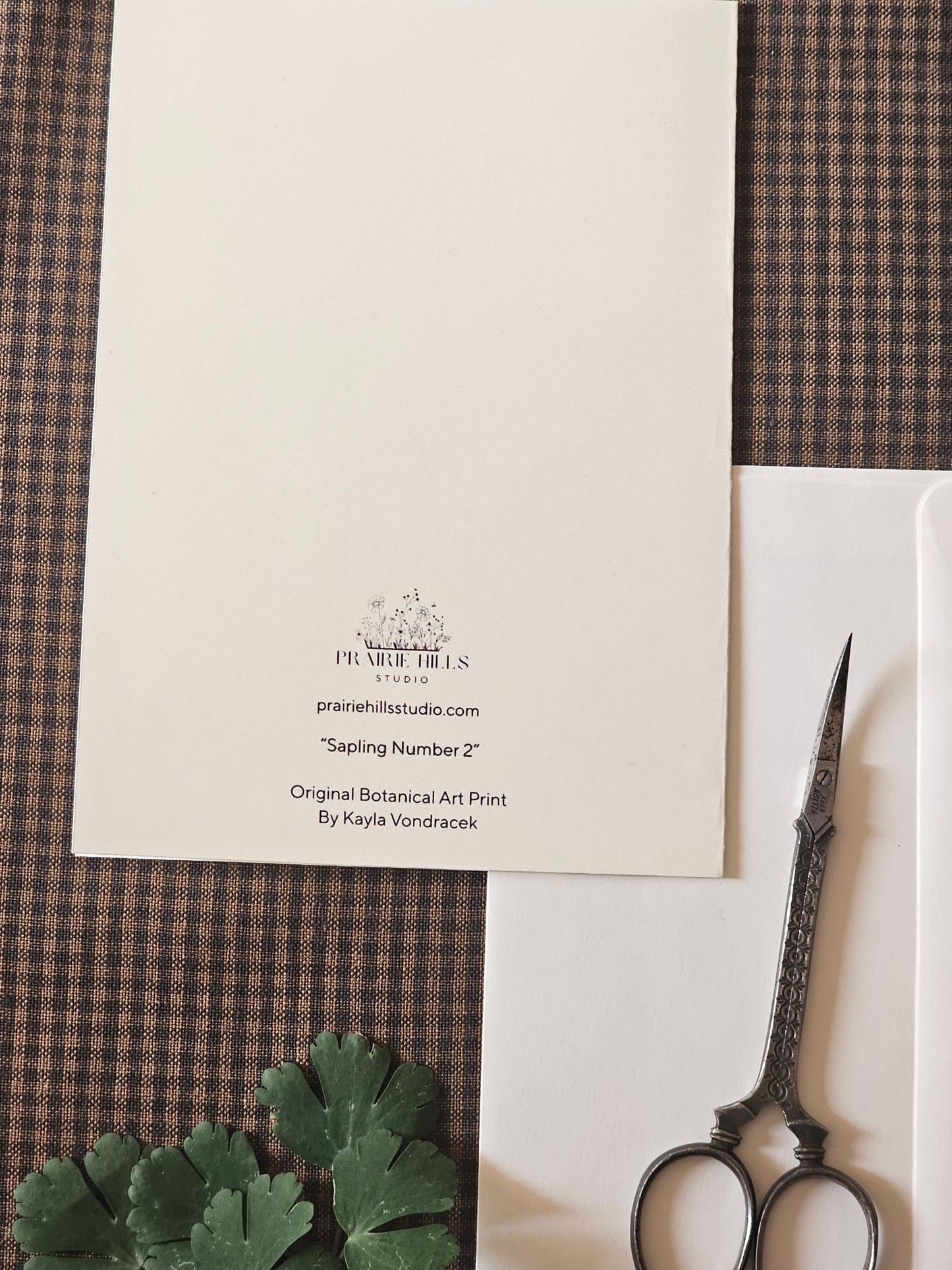 Botanical Art Print Greeting Card | "Sapling Number Two"