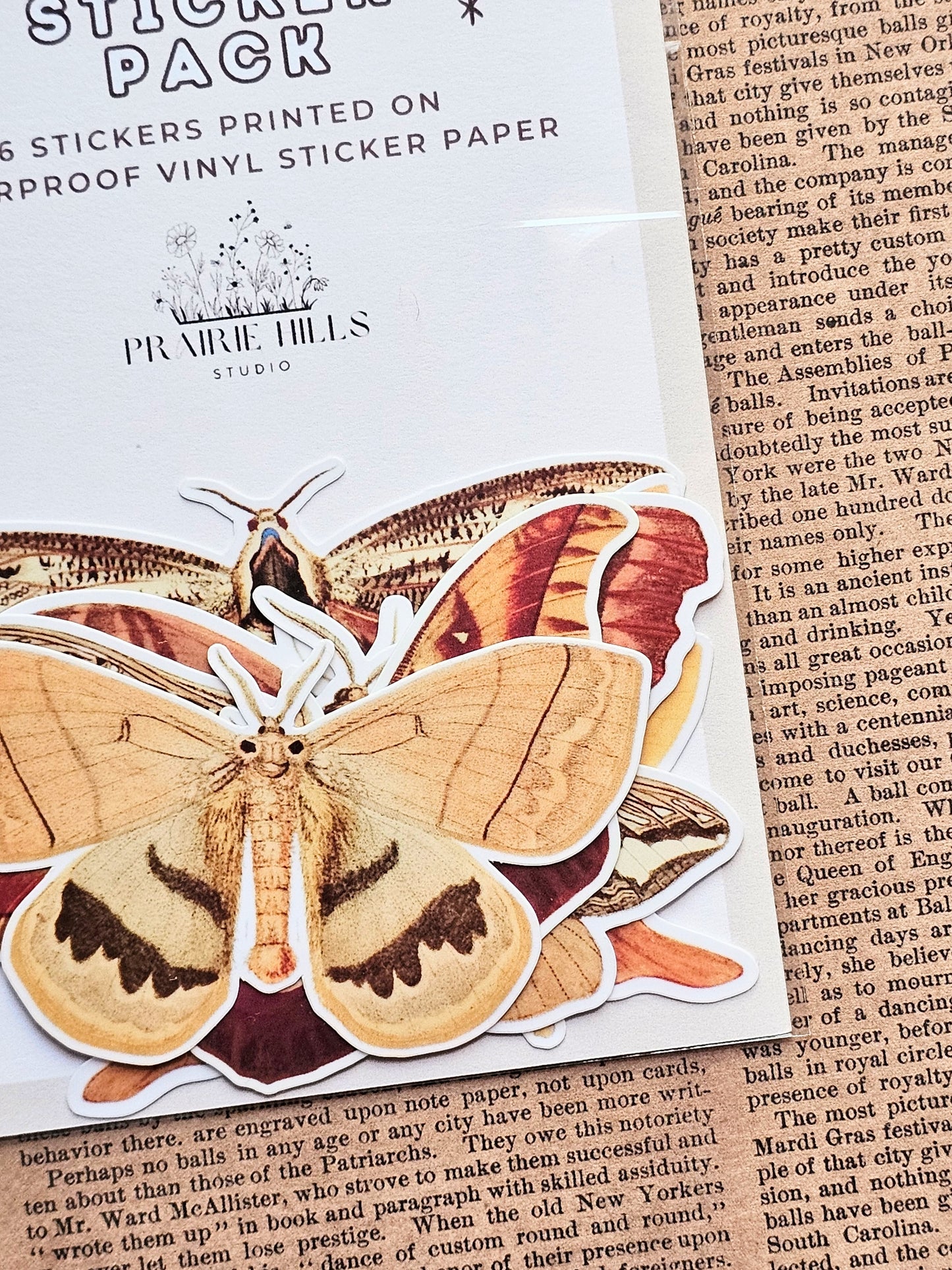 Vinyl Moth Stickers | 6 Pack | Adhesive Vinyl Waterproof Stickers