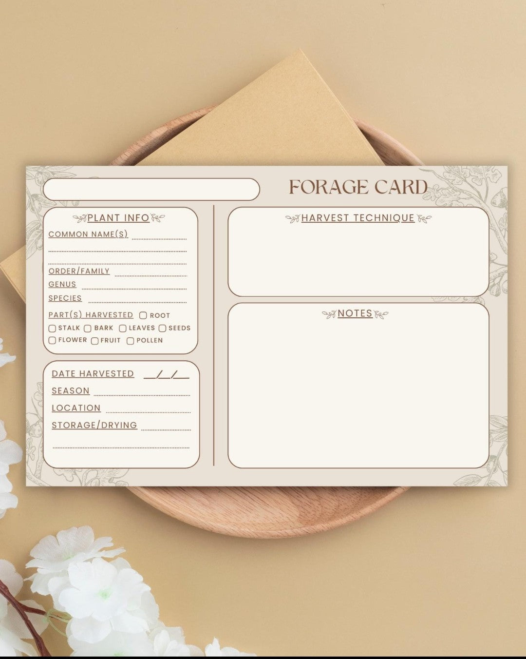 Handmade Plant Forage Cards - Set of 10