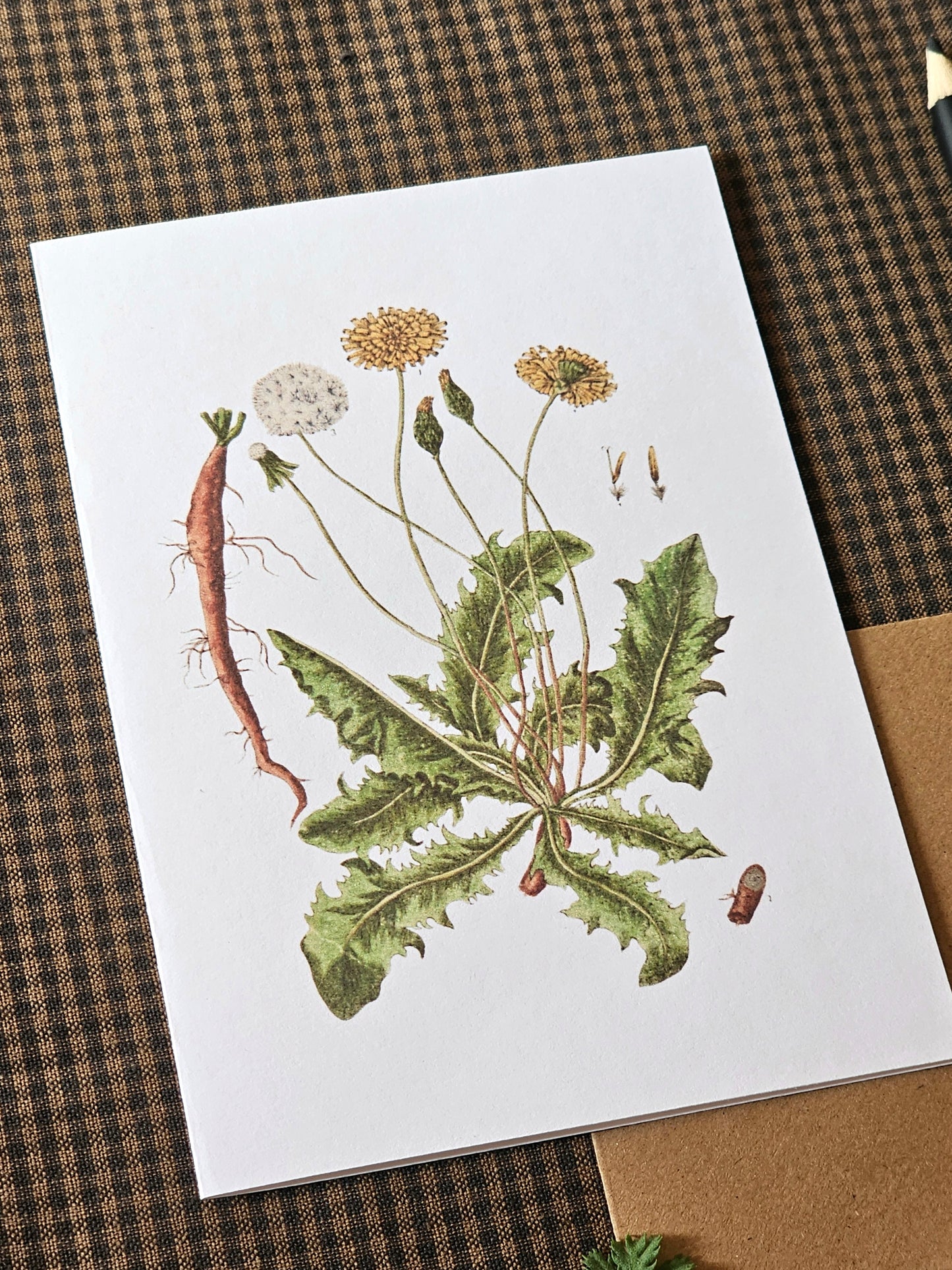 Dandelion Illustration Greeting Card | Illustrated Card and Envelope Set