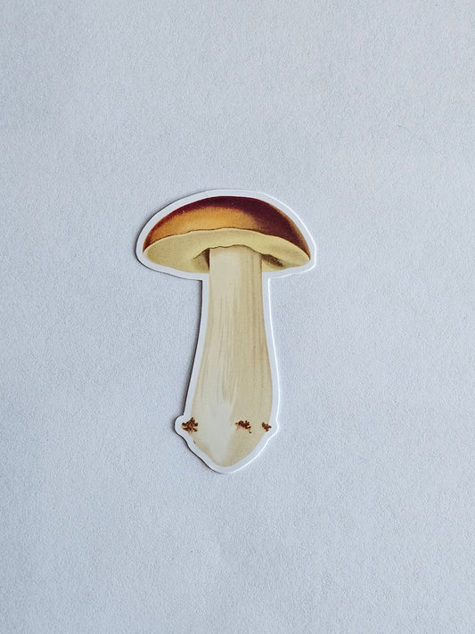 Mushroom Vinyl Sticker Style #13