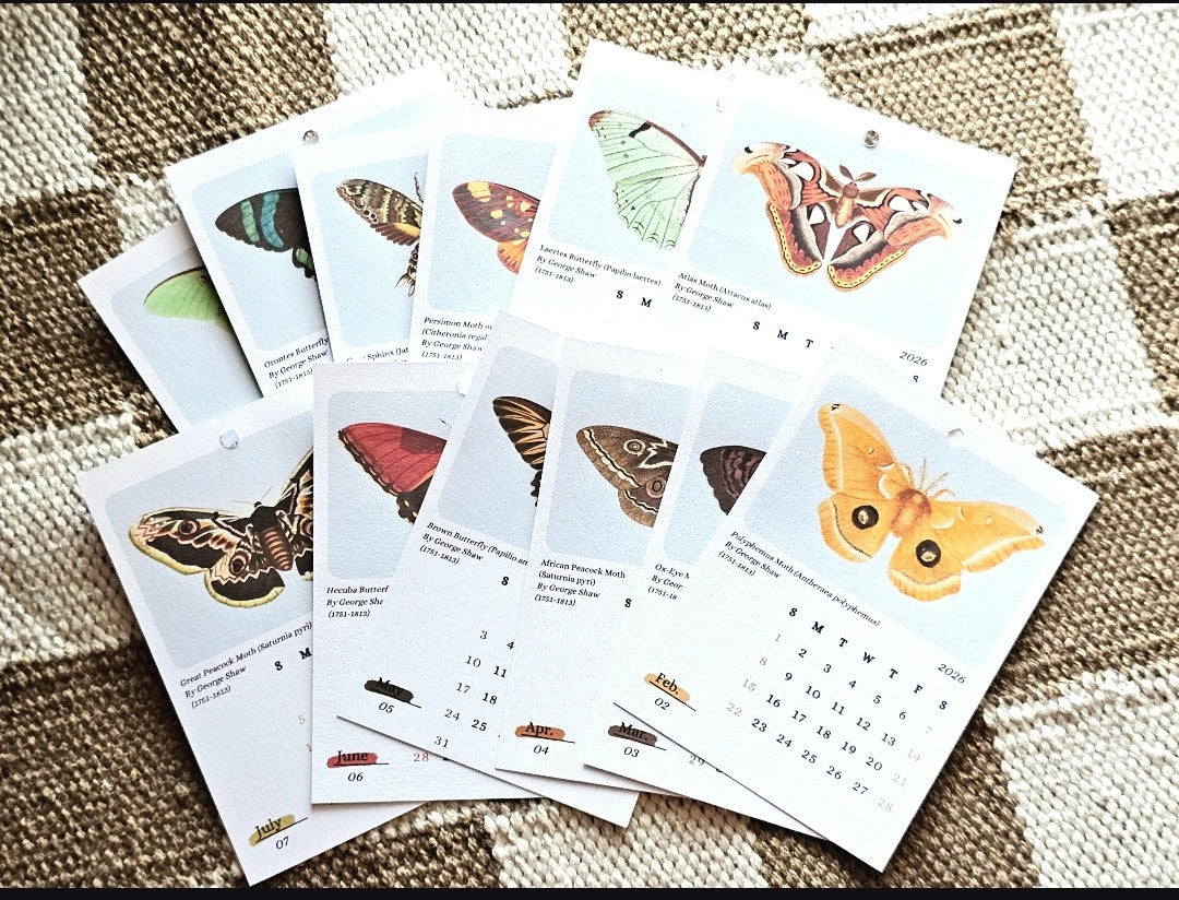 Moths & Butterflies 2026 Mini Hanging Wall Calendar | 12 Month Calendar