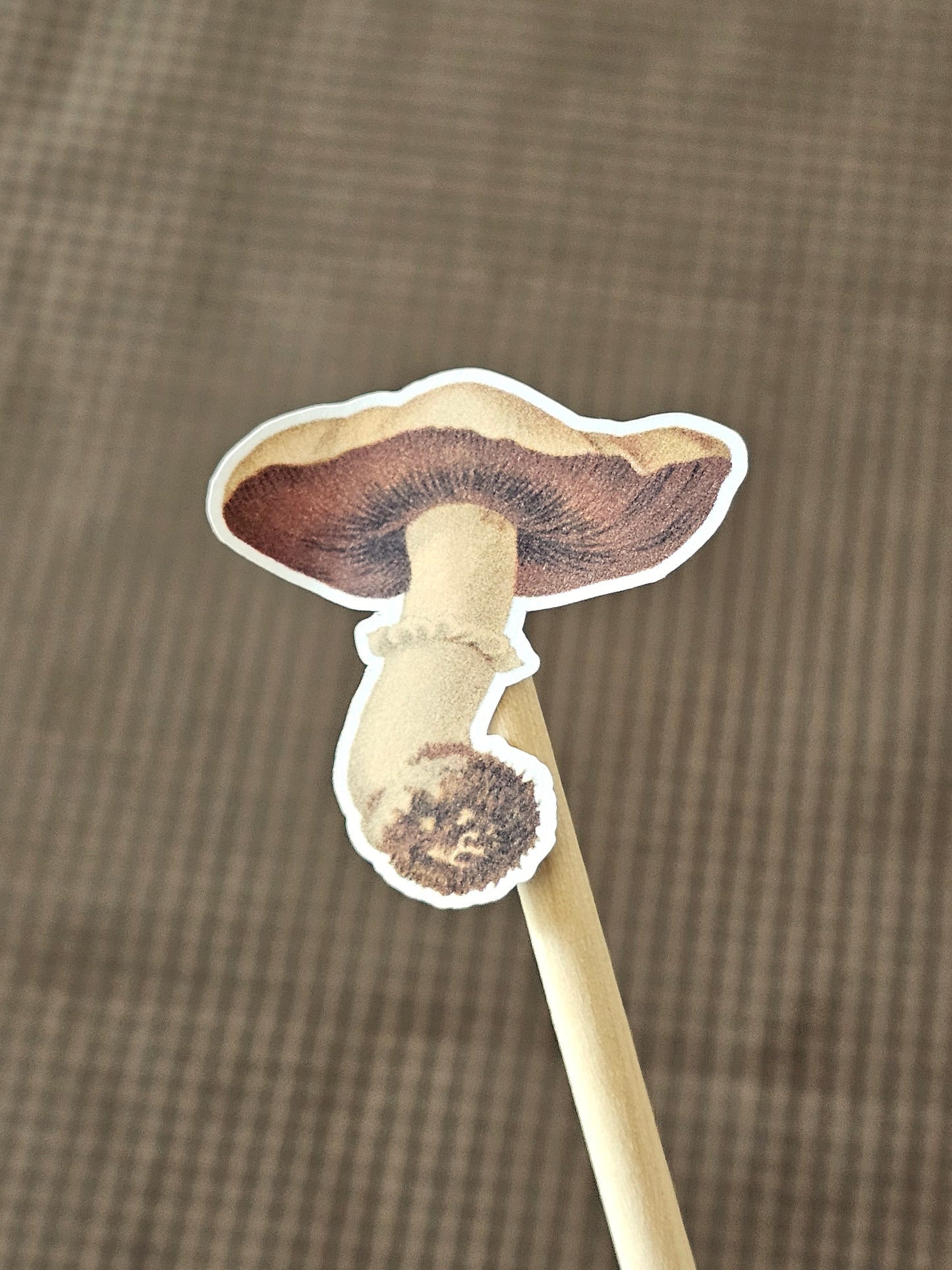 Mushroom Sticker Sheet