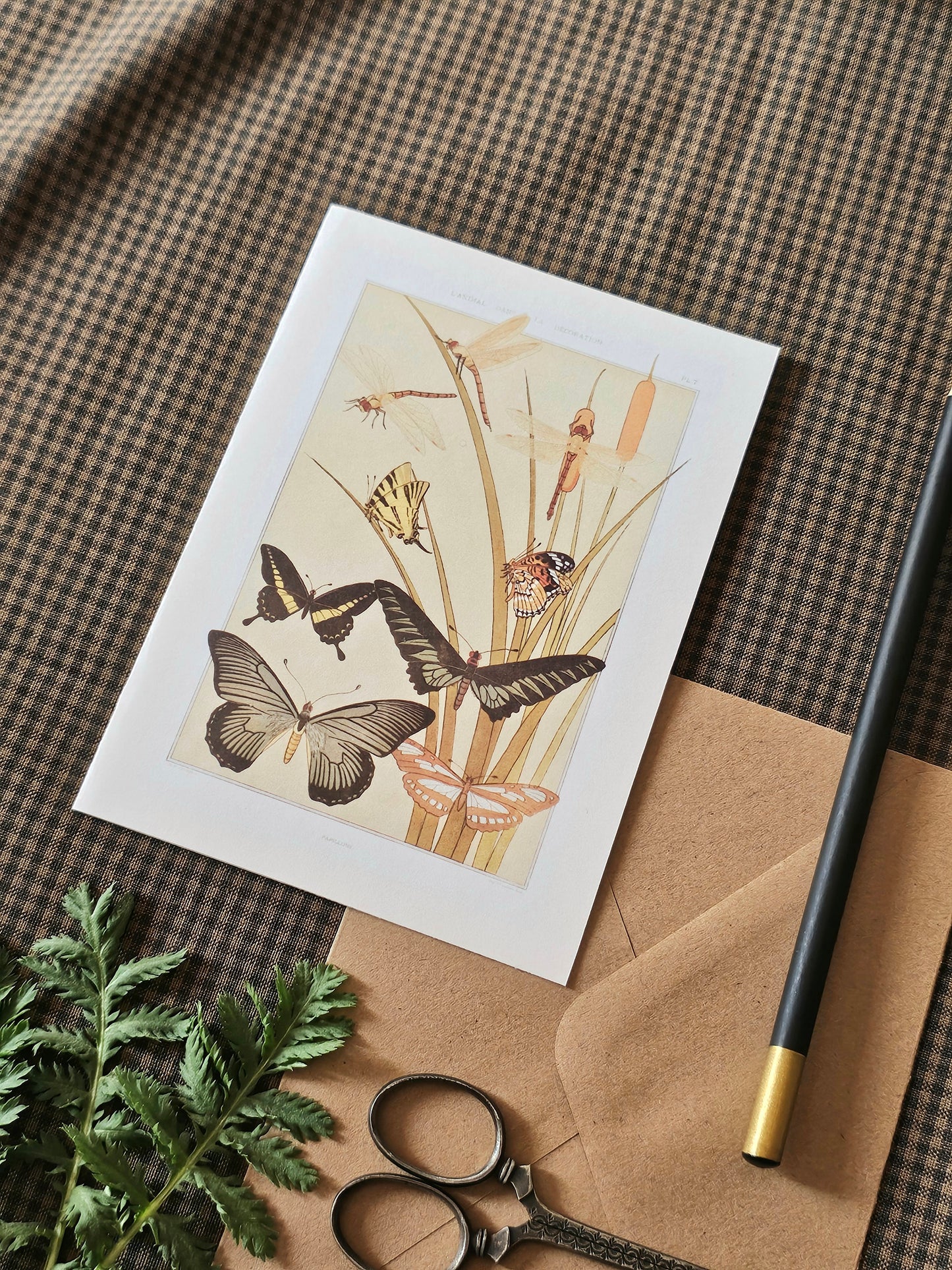 Botanical Butterfly Greeting Card | Illustrated Card and Envelope Set