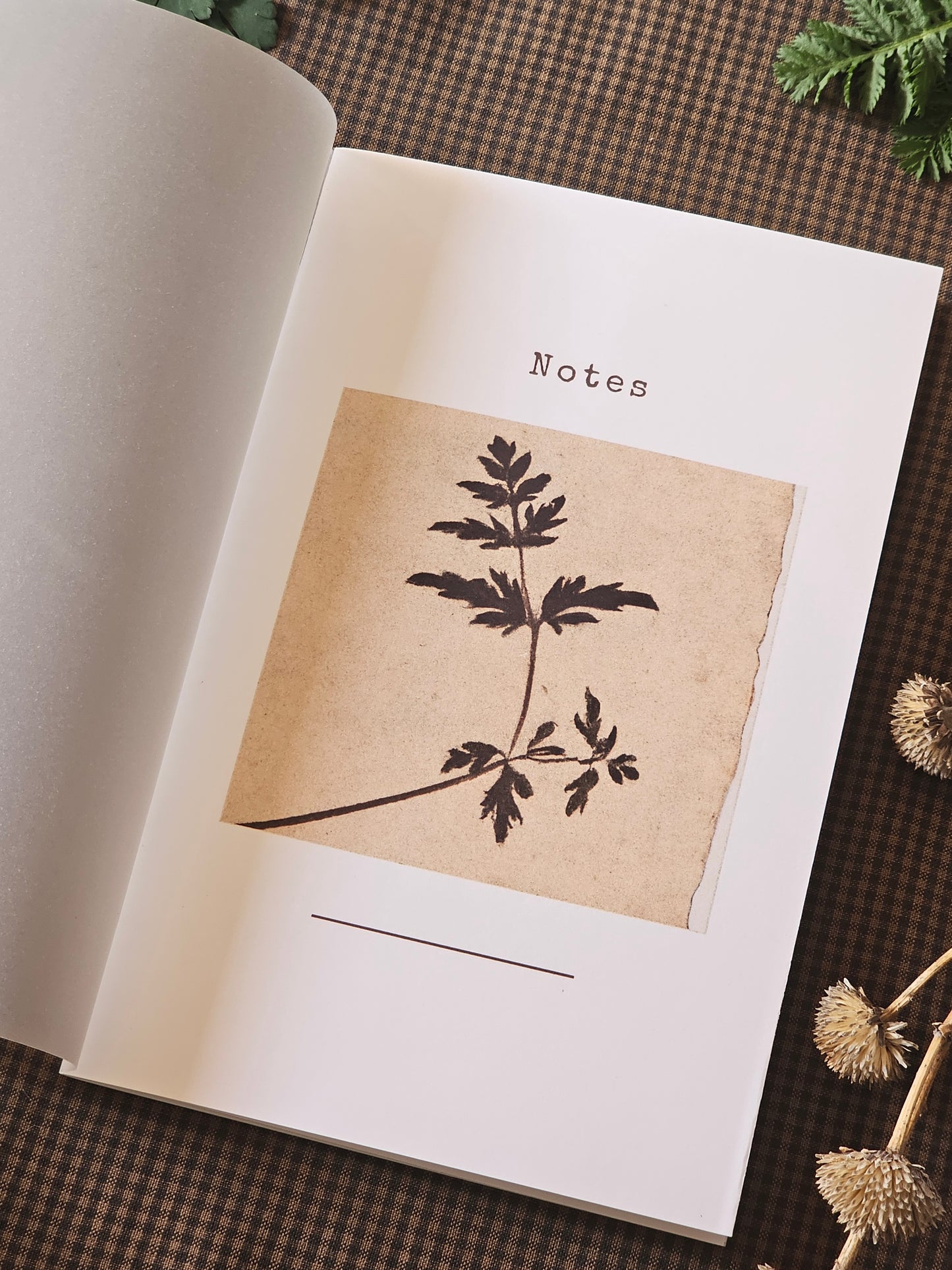 Handmade Botanical Pocket Notebook | Fern Design #3