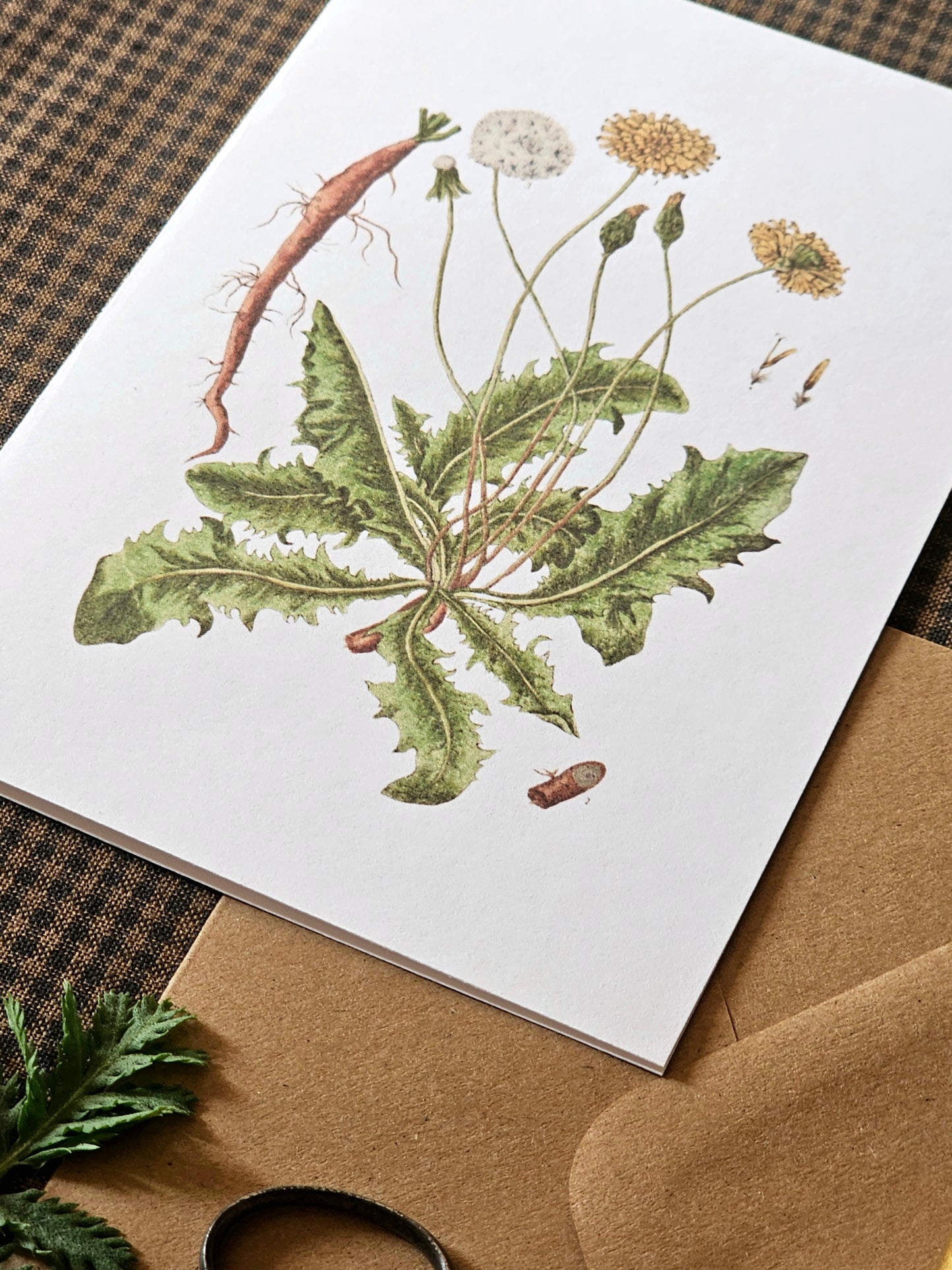 Dandelion Illustration Greeting Card | Illustrated Card and Envelope Set