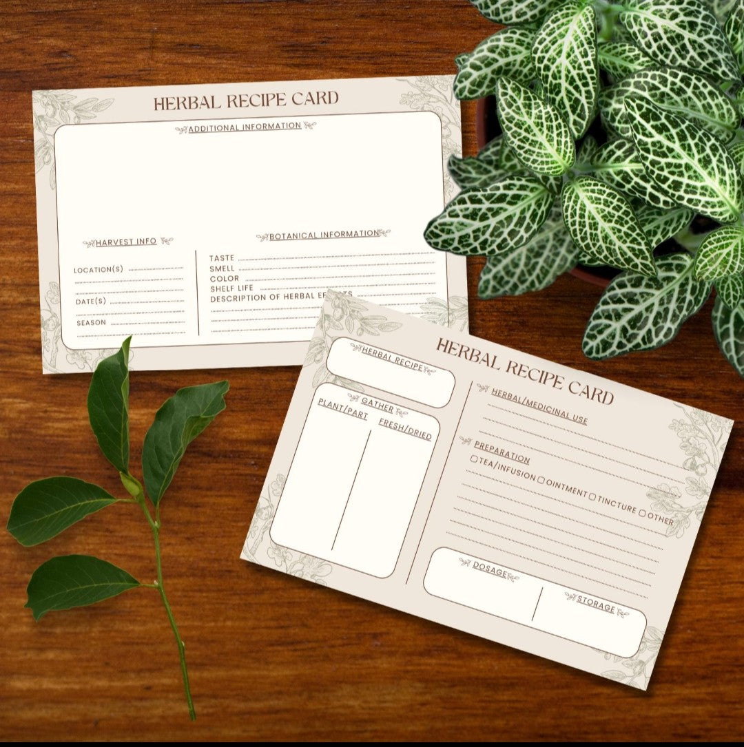 Handmade Herbal Recipe Cards - Set of 20