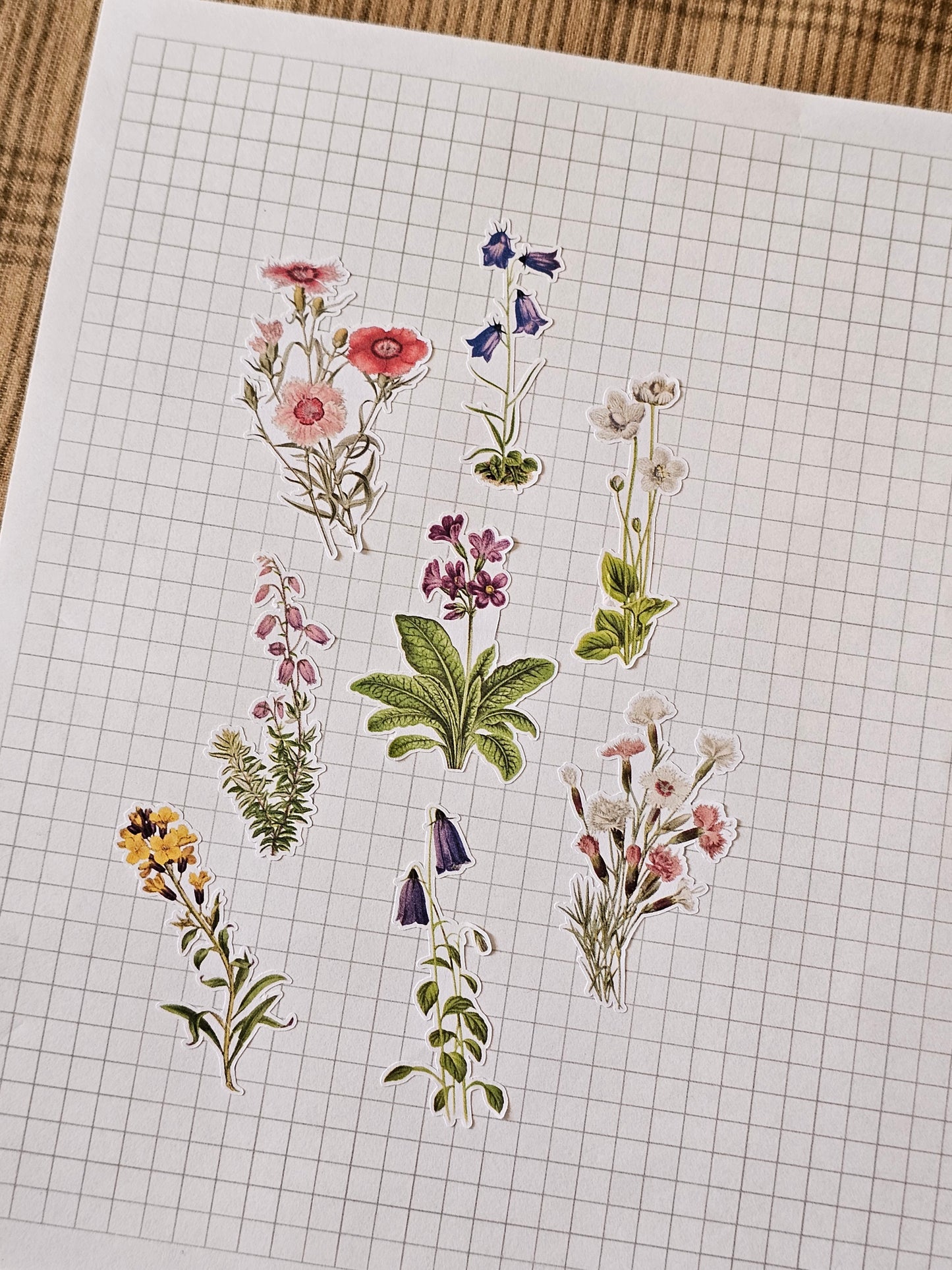 Wildflower Sticker Sheet