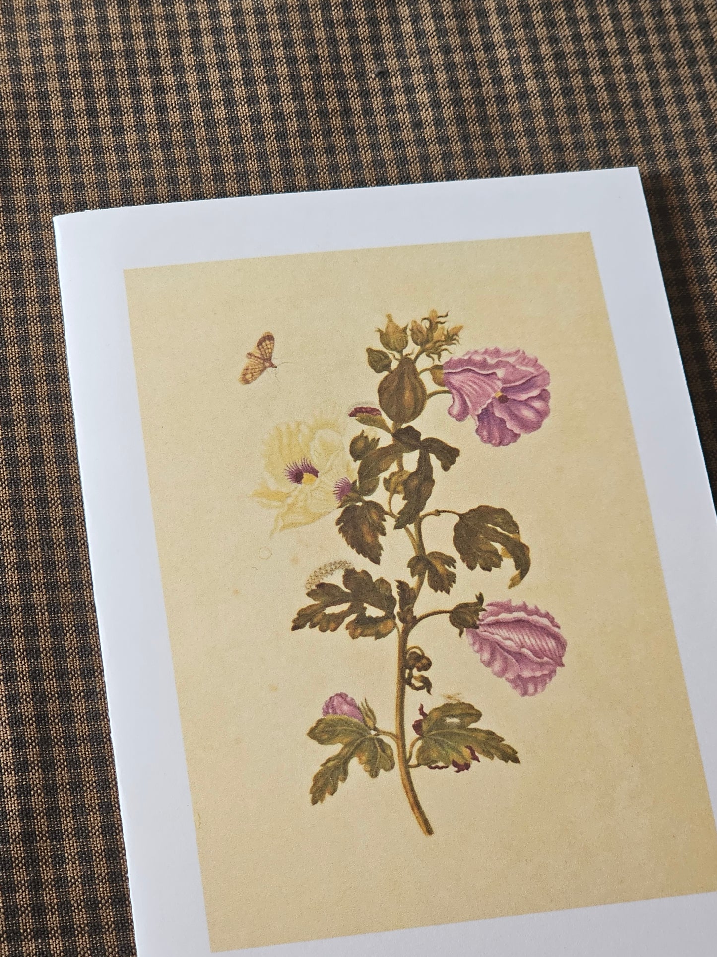 Floral Illustration Greeting Card | Illustrated Card and Envelope Set