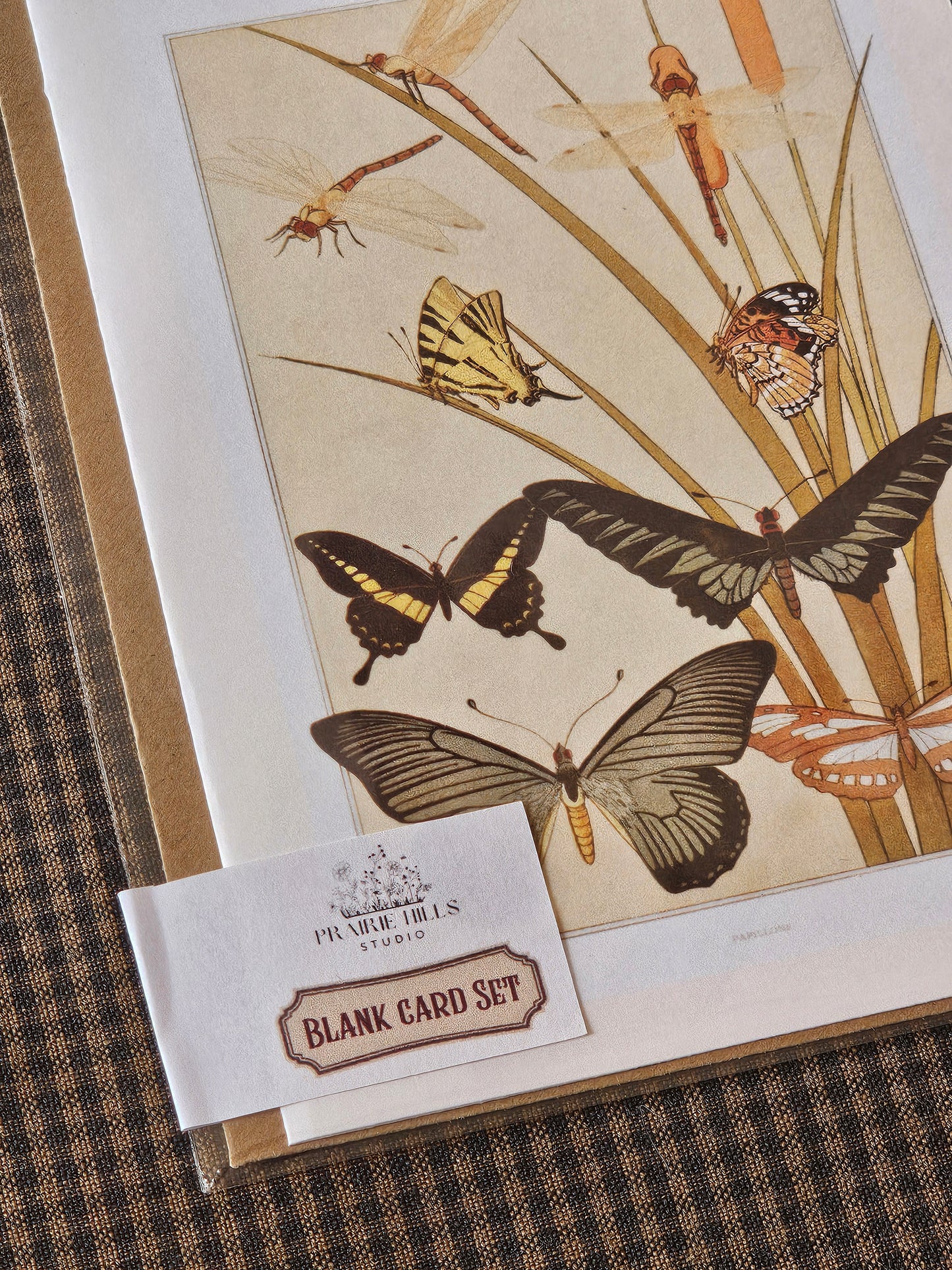 Botanical Butterfly Greeting Card | Illustrated Card and Envelope Set