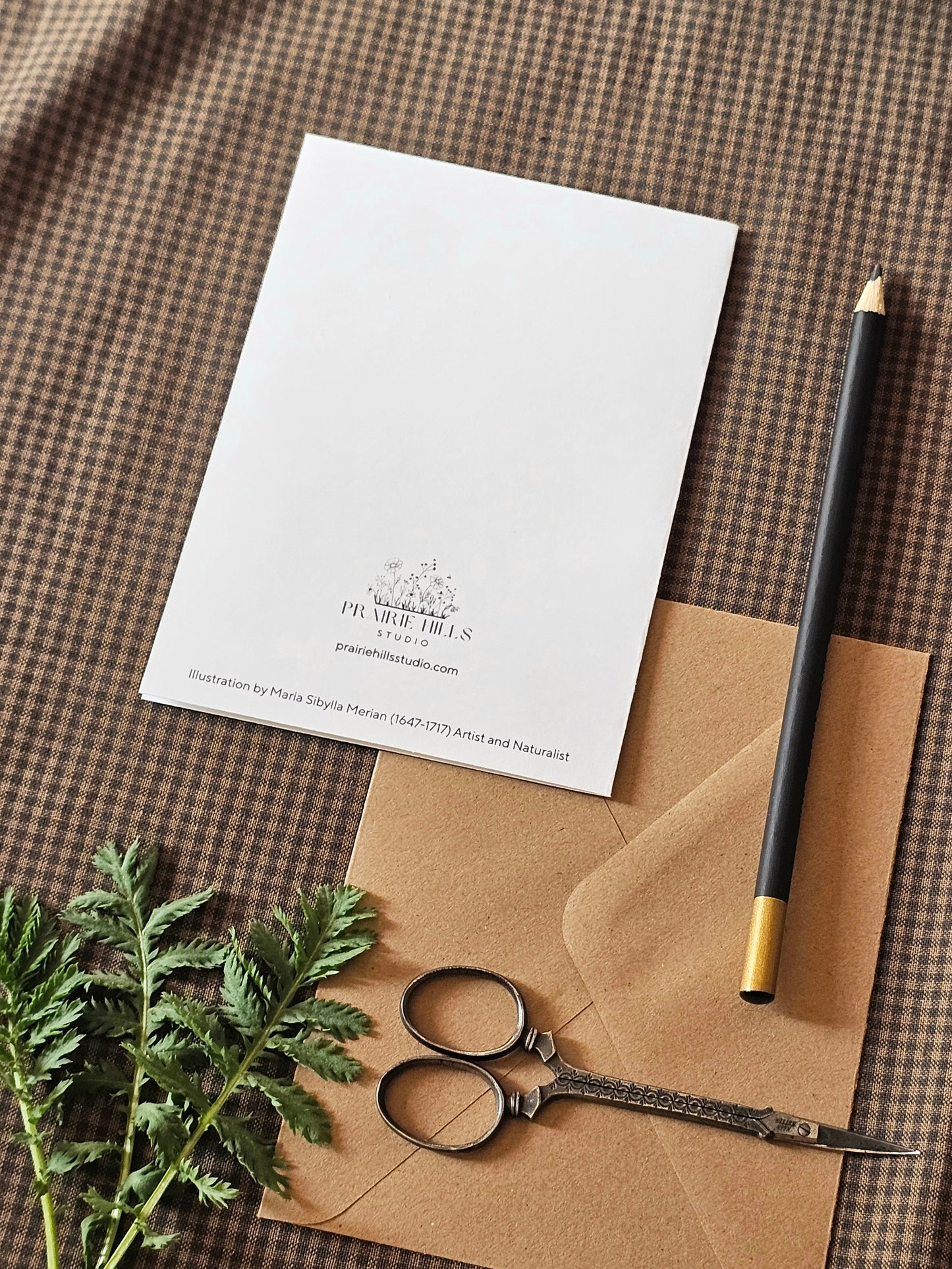Floral Illustration Greeting Card | Illustrated Card and Envelope Set