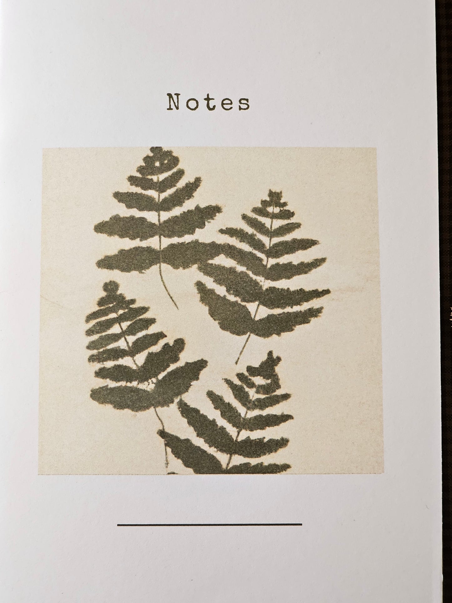 Handmade Botanical Pocket Notebook | Fern Design #4