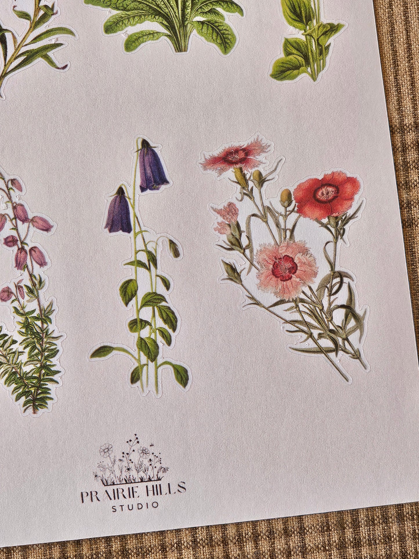 Wildflower Sticker Sheet